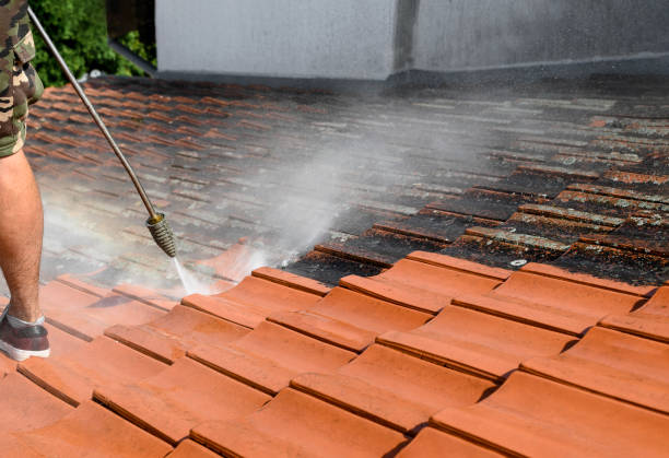 Trusted Lugoff, SC Pressure Washing Experts
