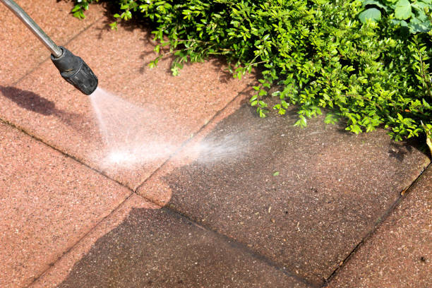Best House Pressure Washing  in Lugoff, SC